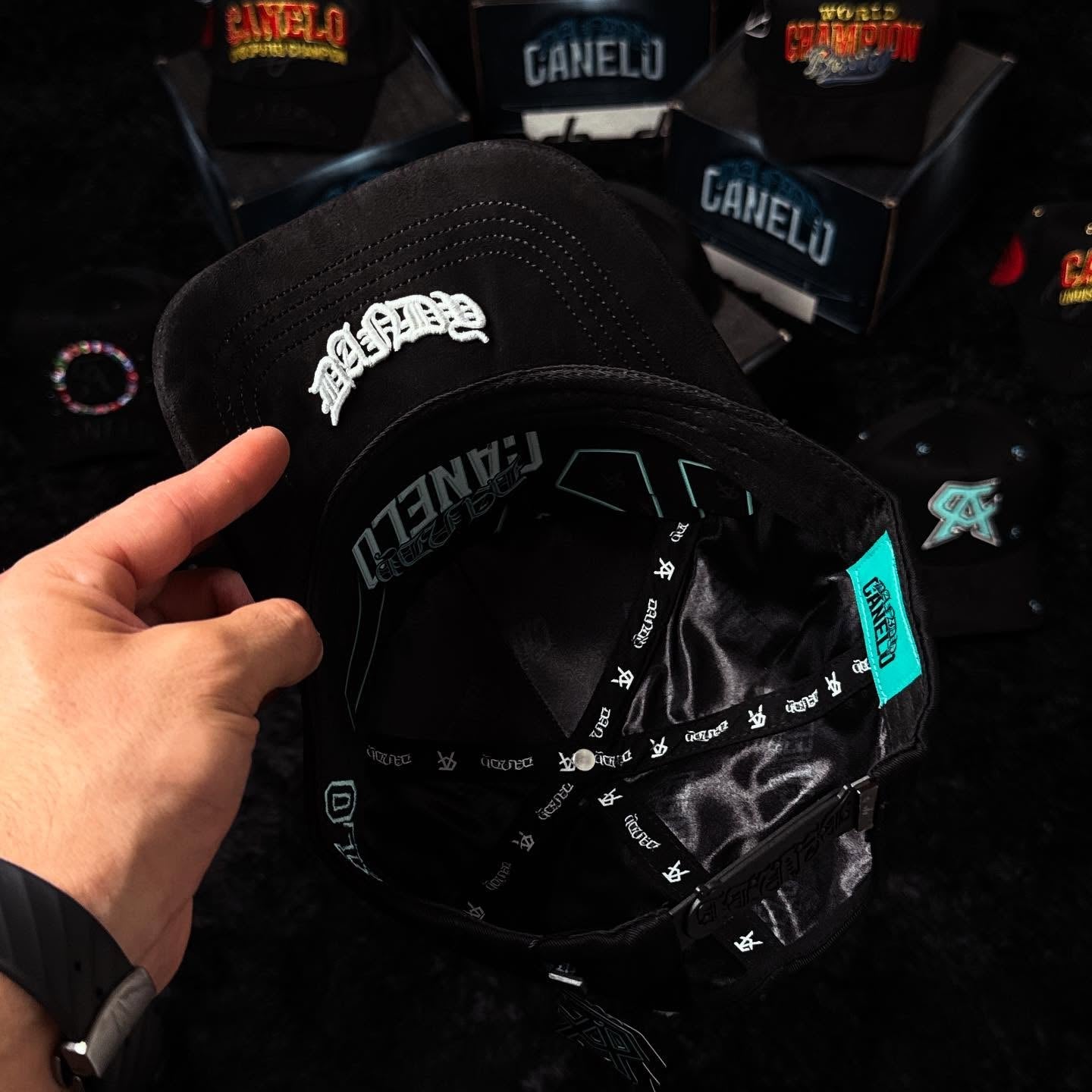 CANELO X DH "TIFFANY"
